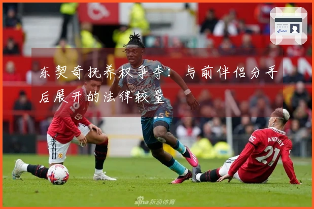 东契奇抚养权争夺：与前伴侣分手后展开的法律较量