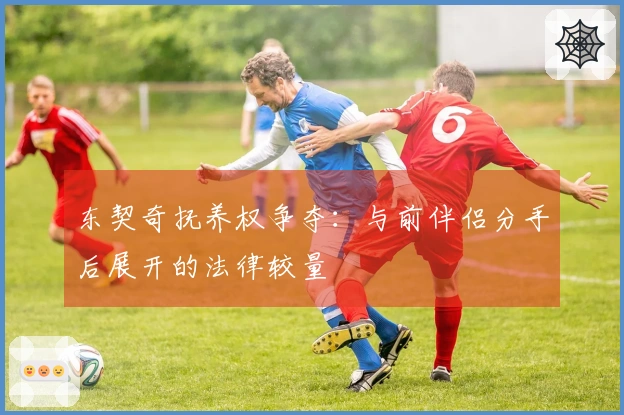 东契奇抚养权争夺：与前伴侣分手后展开的法律较量